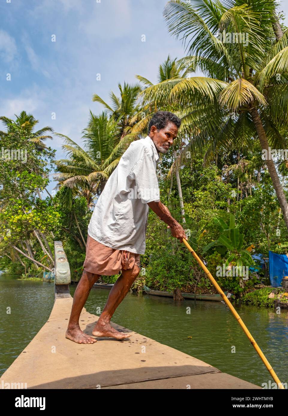 Un homme navigue un bateau à travers les canaux des backwaters du Kerala en utilisant un long poteau, le lac Vembanad, Kerala, Inde Banque D'Images