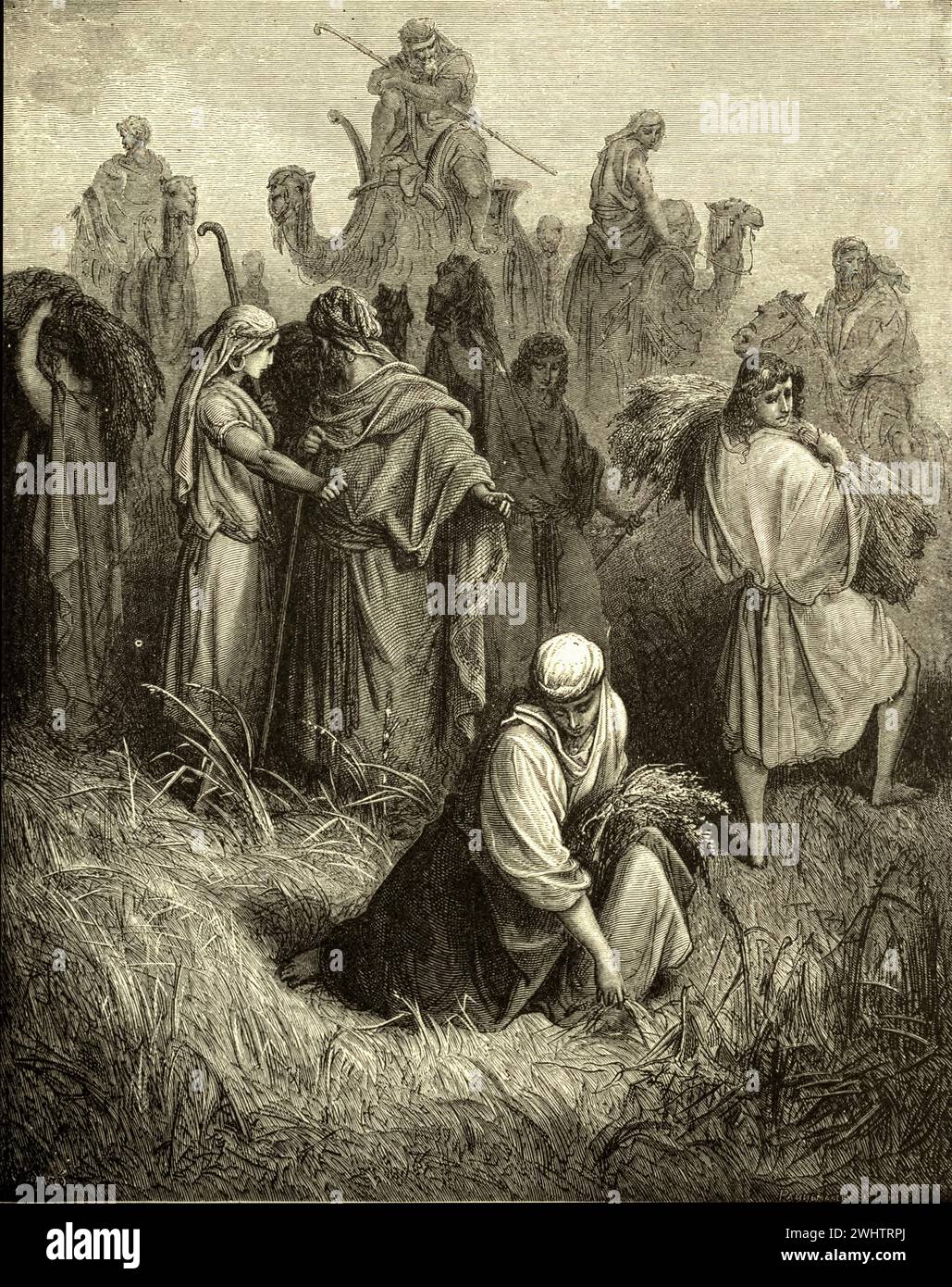 La Bible - Ruth et Boaz par Gustave Dorè Banque D'Images