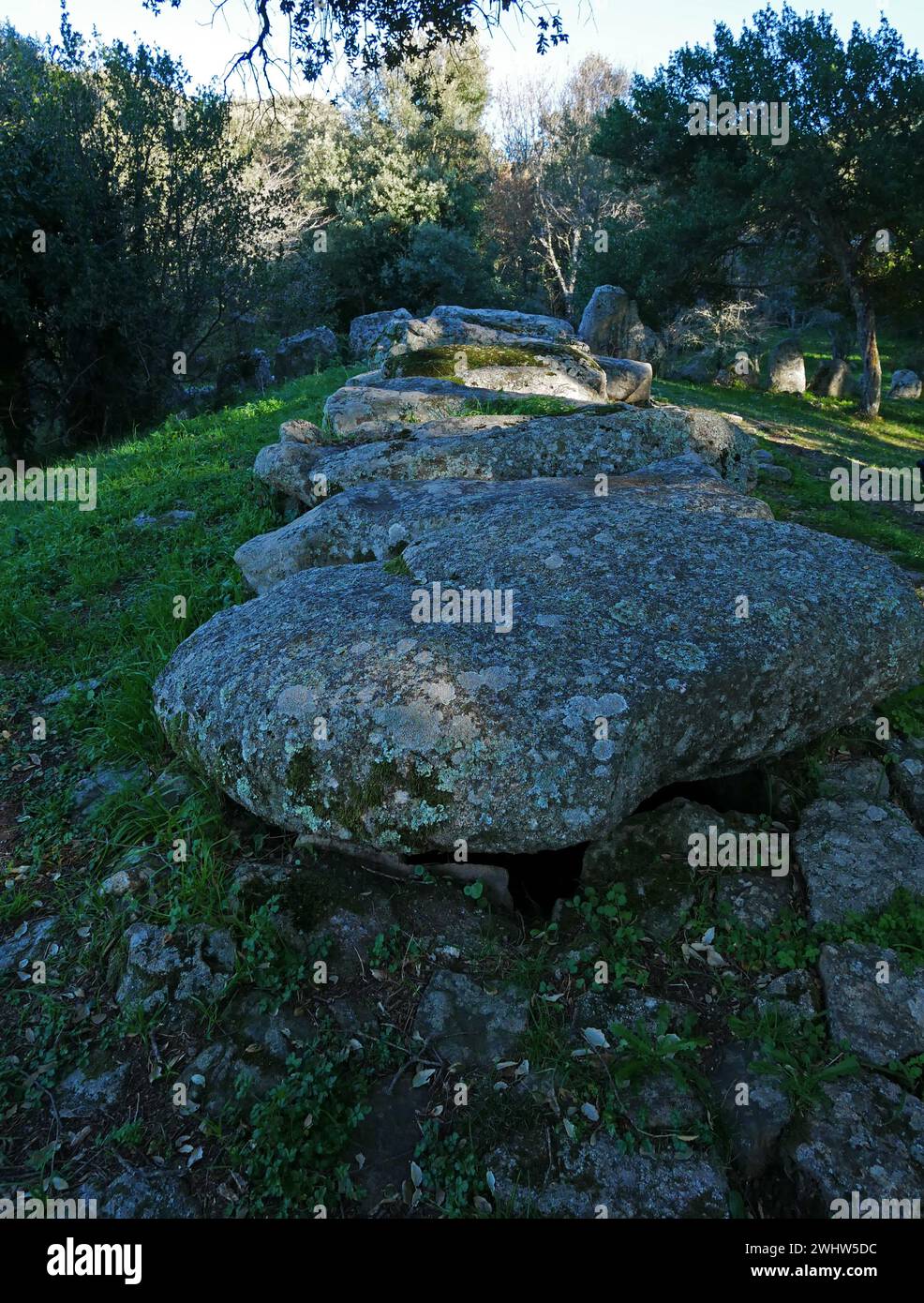 La tombe des géants de Pascaredda à Calangianus, Sardaigne, Italie Banque D'Images