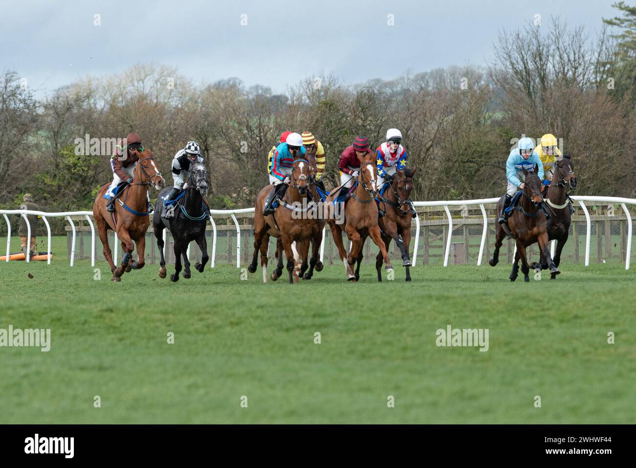 Première course à Wincanton 19 février 2022 - haie novice Banque D'Images