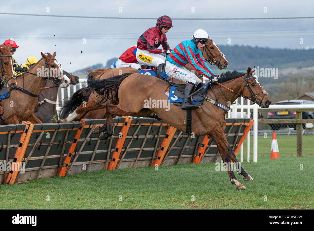Première course à Wincanton 19 février 2022 - haie novice Banque D'Images