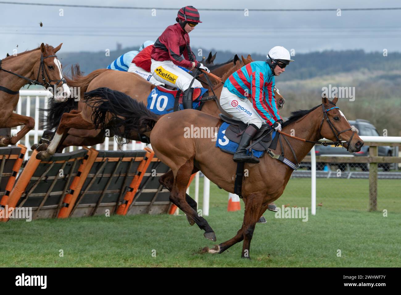 Première course à Wincanton 19 février 2022 - haie novice Banque D'Images