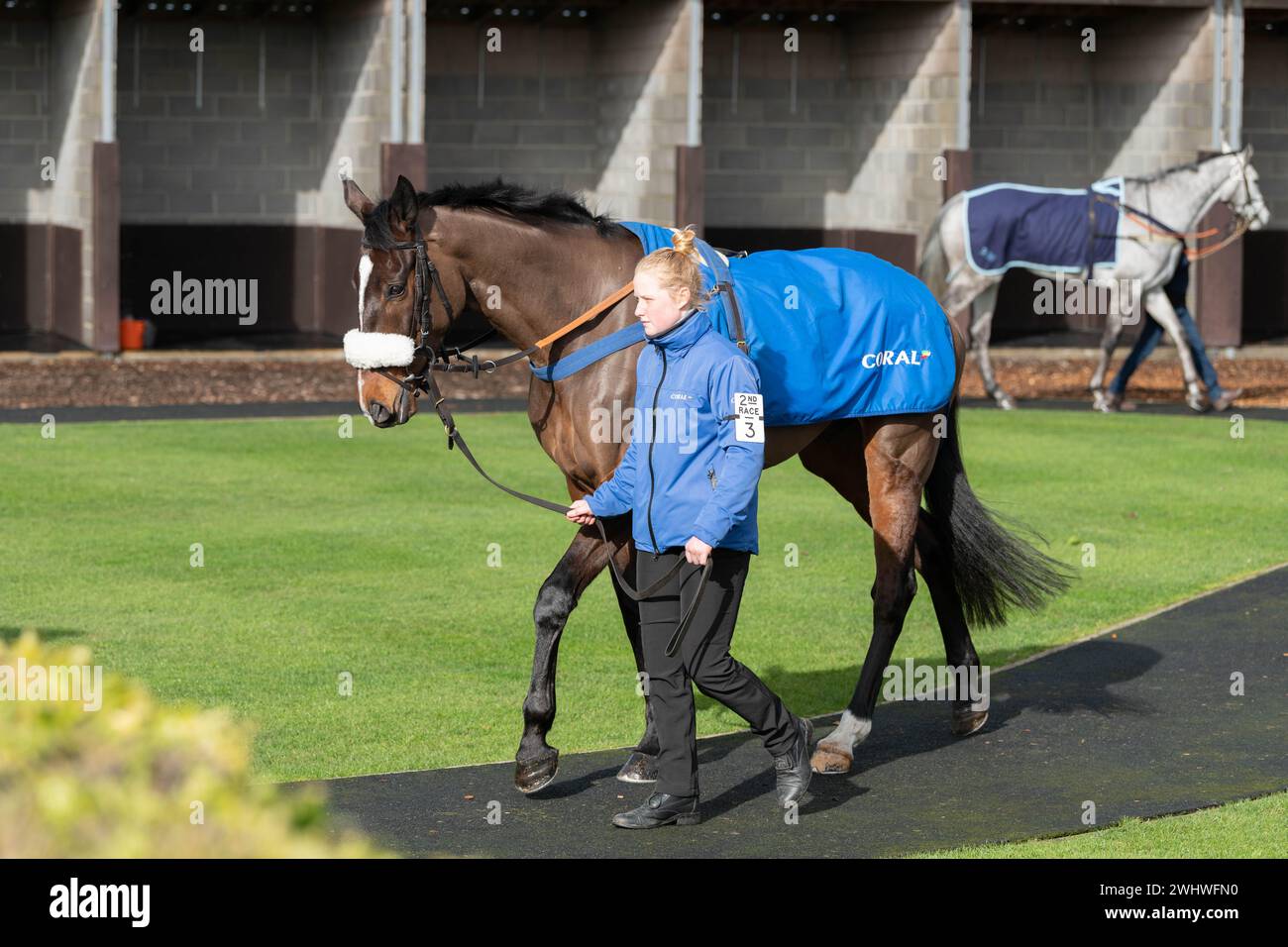 Deuxième course à Wincanton, samedi 19 février 2022, Steeple Chase Banque D'Images