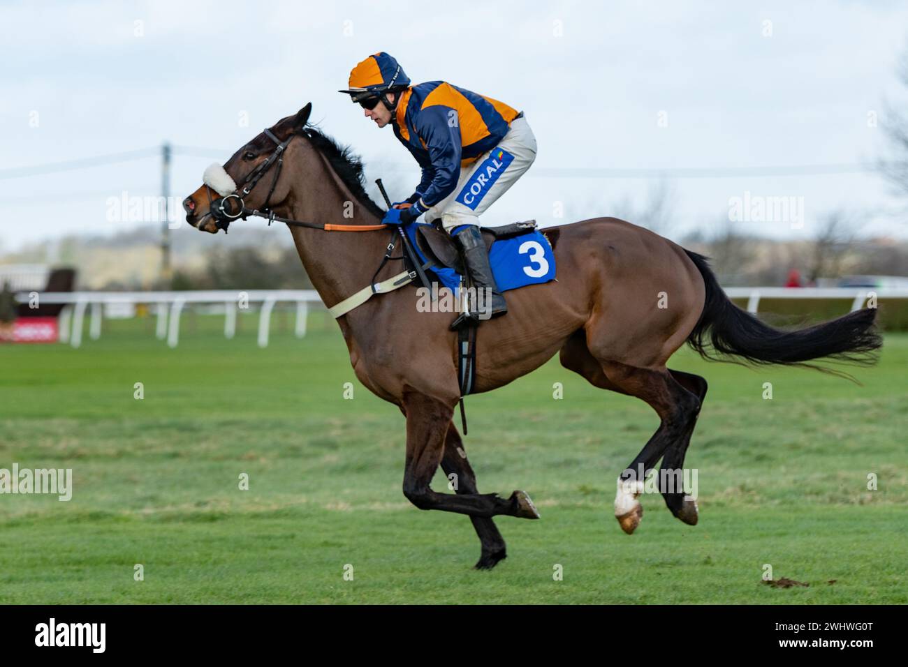 Deuxième course à Wincanton, samedi 19 février 2022, Steeple Chase Banque D'Images