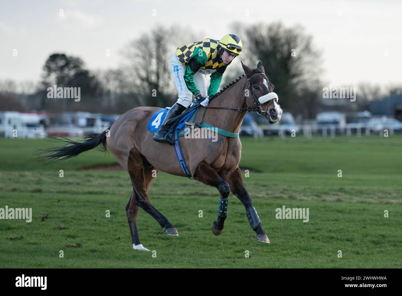 Sixième course à Wincanton - la Harry Dufosee Memorial Cup, le 19 février 2022 Banque D'Images