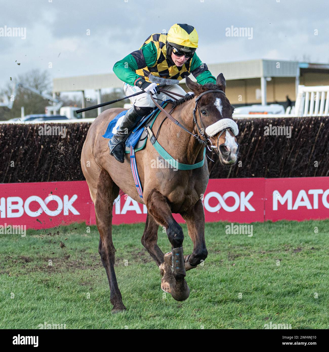 Sixième course à Wincanton - la Harry Dufosee Memorial Cup, le 19 février 2022 Banque D'Images