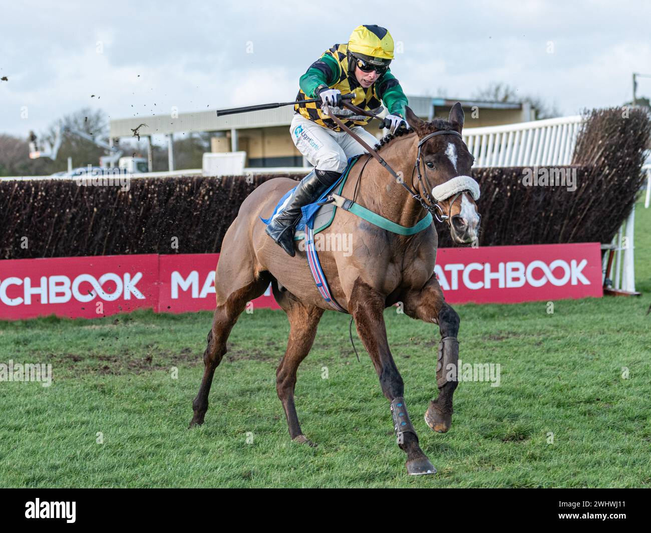Sixième course à Wincanton - la Harry Dufosee Memorial Cup, le 19 février 2022 Banque D'Images