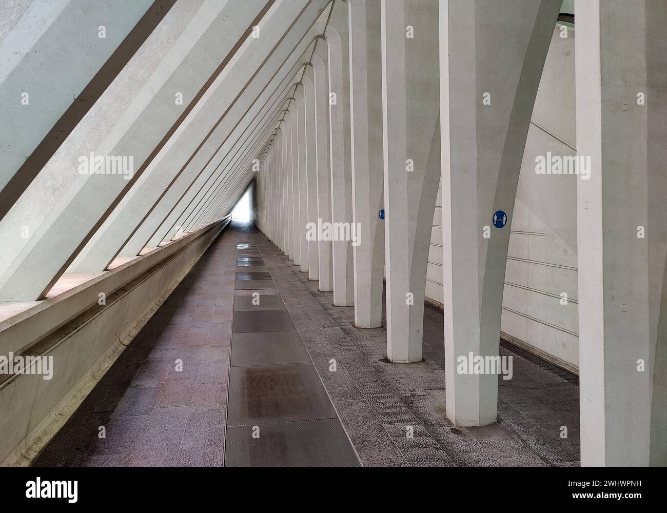 Couloir dans la gare de LiÃ¨GE-Guillemins, architecte Santiago Calatrava, Belgique, Europe Banque D'Images