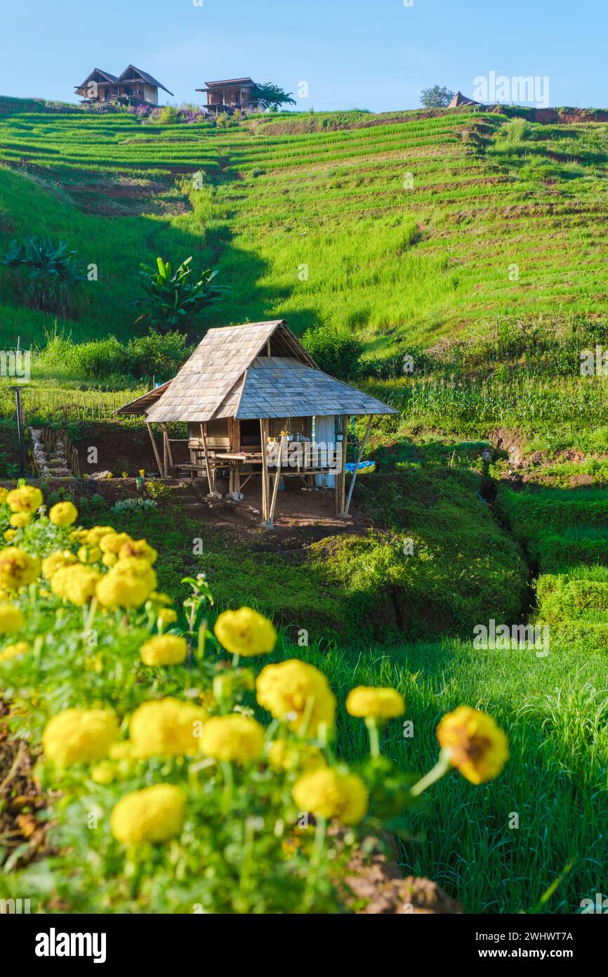 Rizière en terrasses à Chiangmai, Thaïlande avec des fermes chez l'habitant dans les montagnes Banque D'Images