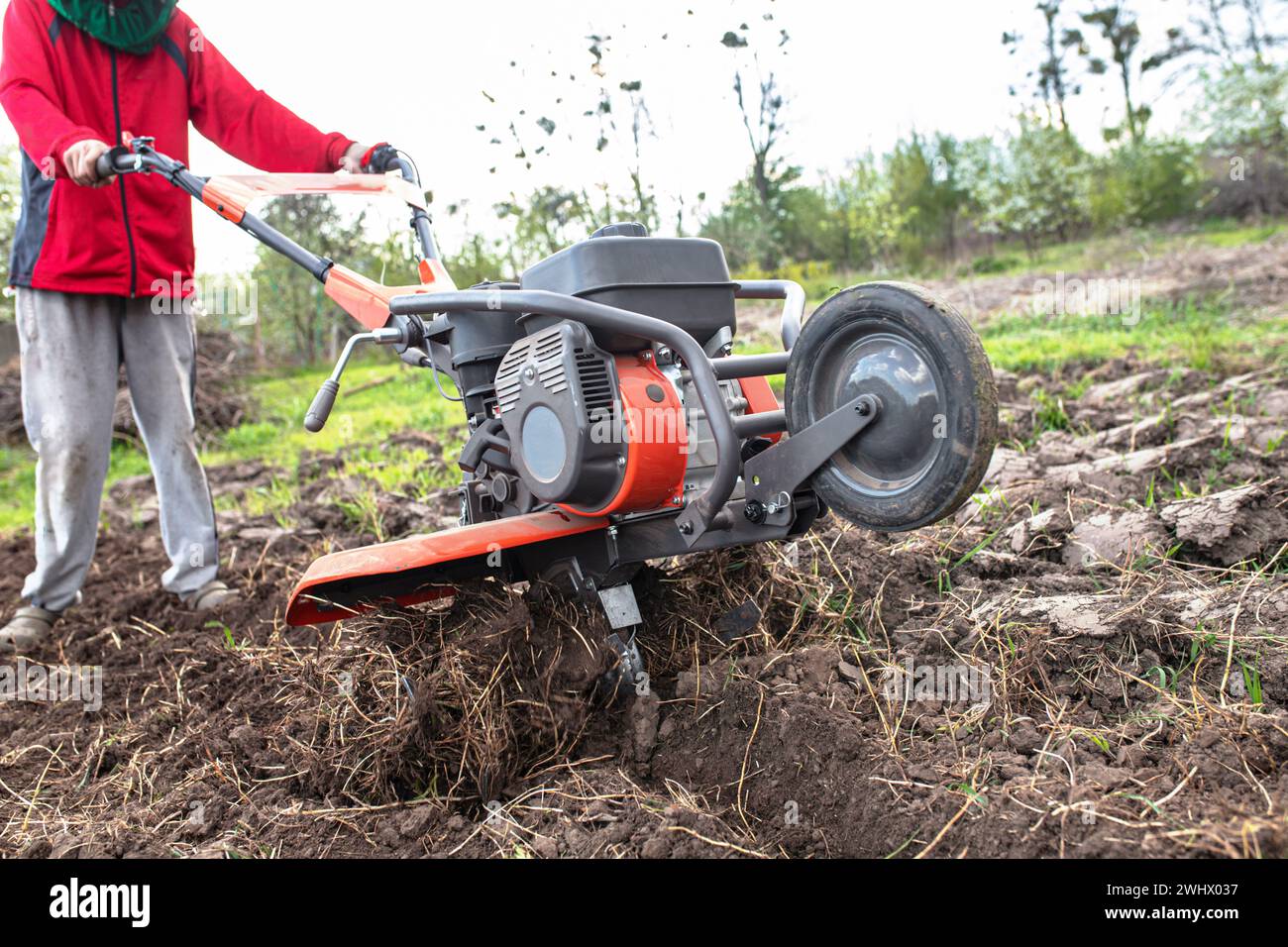 Motoblock dans le domaine du ménage. Travailler avec un cultivateur à moteur, labourer le sol pour semer des graines et planter des semis au début du printemps.. Banque D'Images