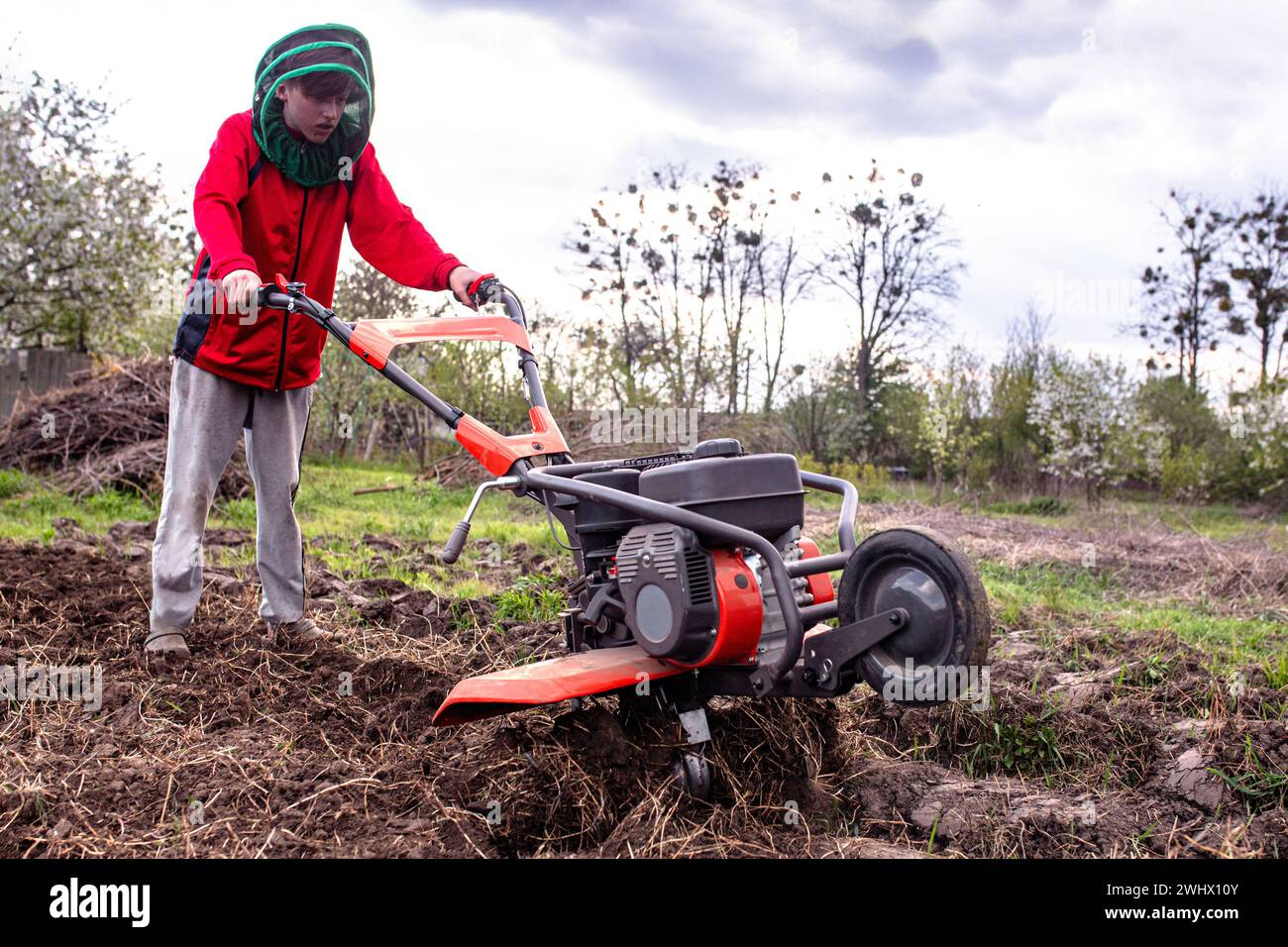 Motoblock dans le domaine du ménage. Travailler avec un cultivateur à moteur, labourer le sol pour semer des graines et planter des semis au début du printemps.. Banque D'Images