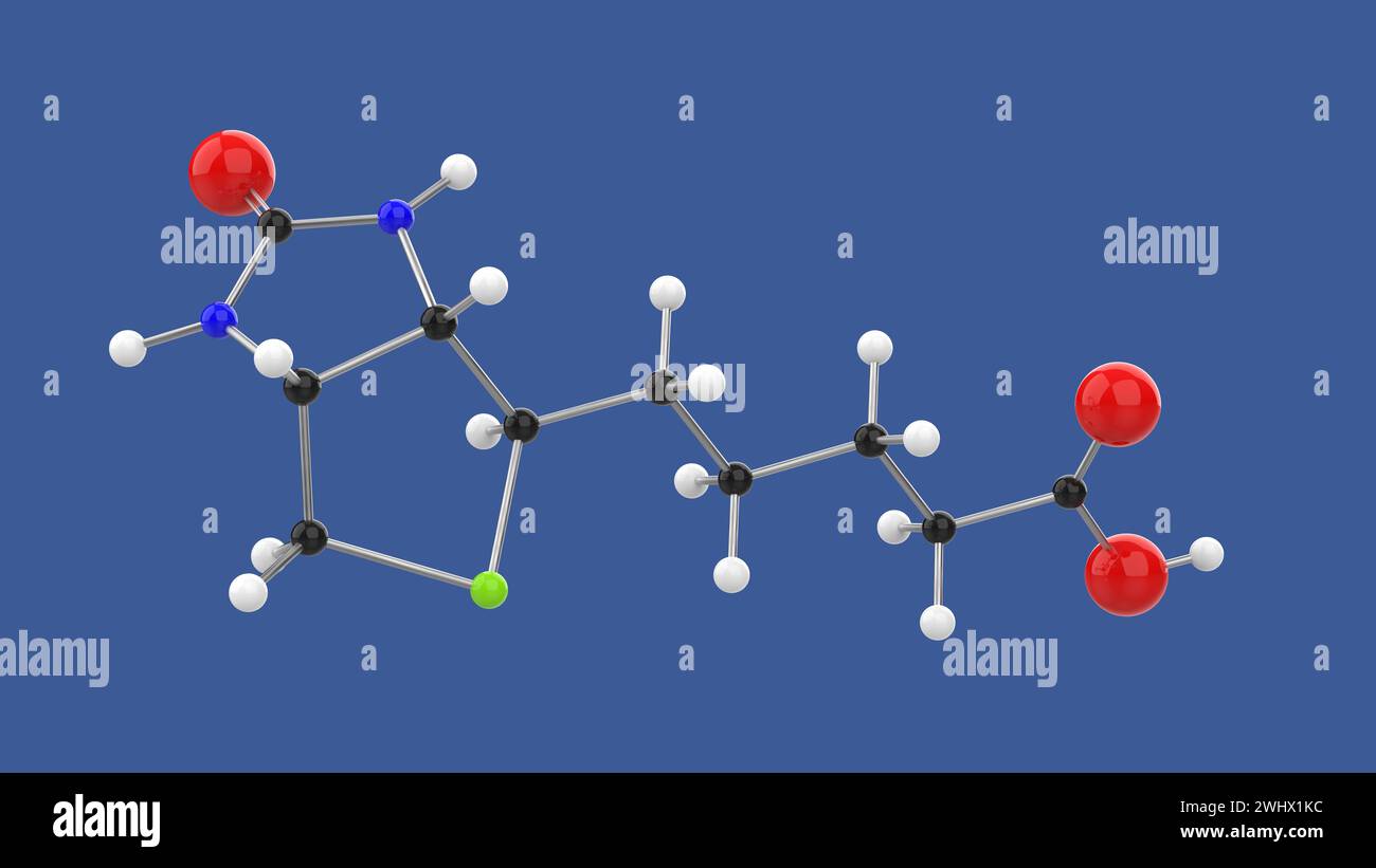 Vitamine B7 biotine structure moléculaire 3D, tournant sur fond bleu, illustration de rendu 3D. Banque D'Images