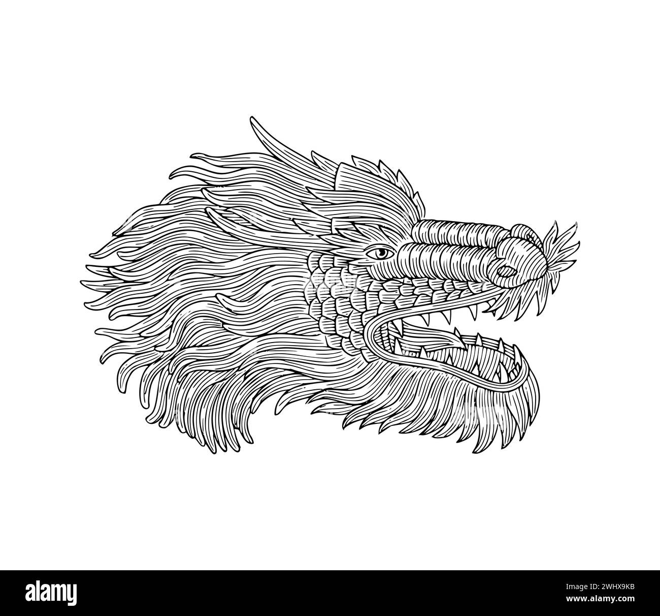 Tête de dragon en colère avec des ailes, illustration de style dessin gravé vintage Illustration de Vecteur
