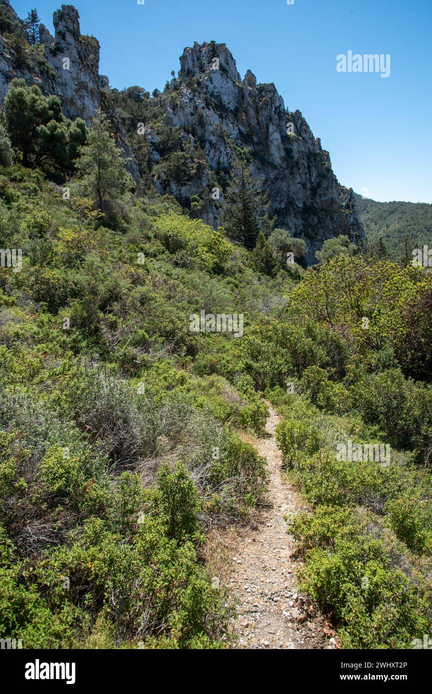Nature sentier de randonnée dans les montagnes. Sentier de montagne nature Banque D'Images