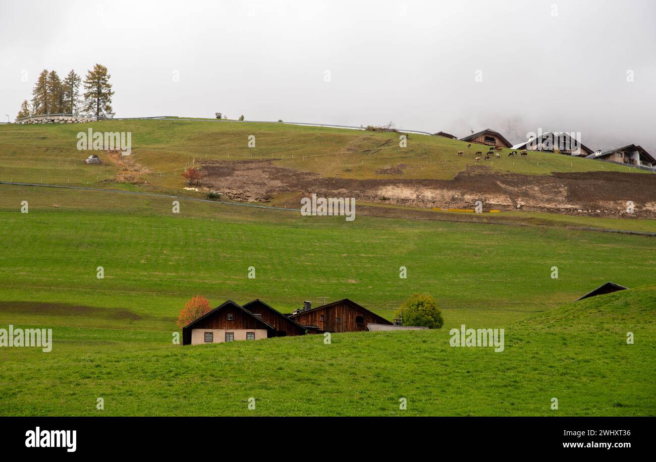 Maisons de montagne traditionnelles en bois dans le champ verdoyant dans les dolomites. Logement dans les apls italiens. Région alpine Banque D'Images