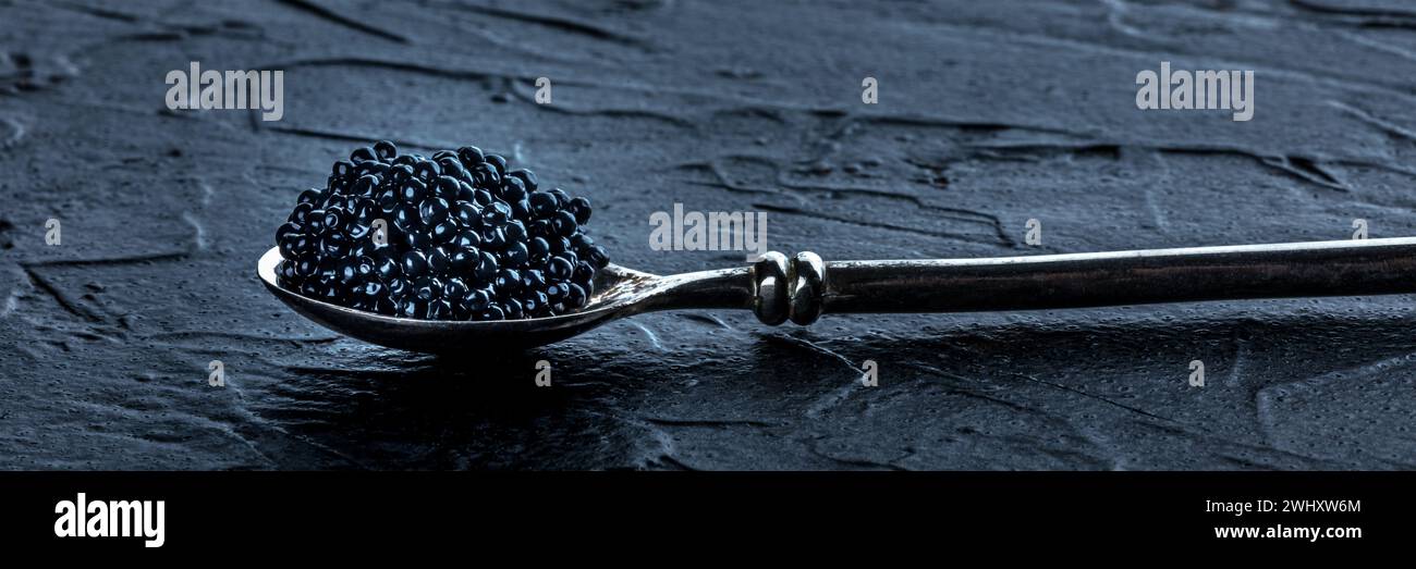 Une cuillère argentée avec panorama de caviar noir sur un fond d'ardoise foncé Banque D'Images