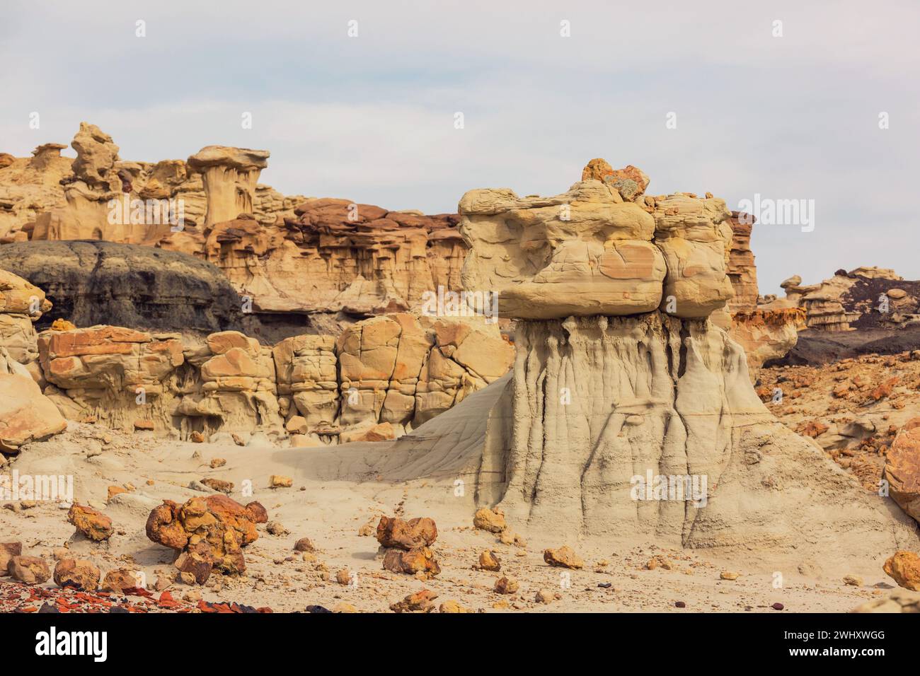 Le paysage bizarre des Bisti Badlands ou de-Na-Zin Wilderness dans le comté de San Juan, Nouveau-Mexique, États-Unis Banque D'Images