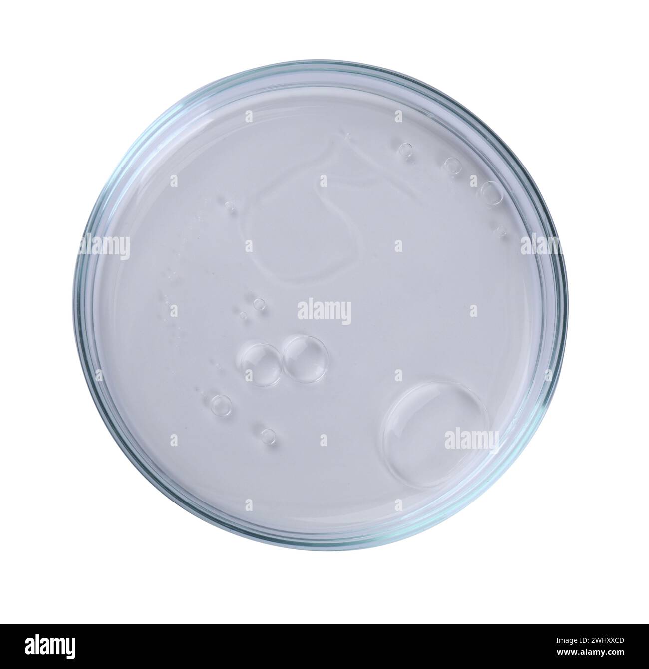 Boîte de Pétri avec échantillon liquide isolé sur blanc, vue de dessus Banque D'Images