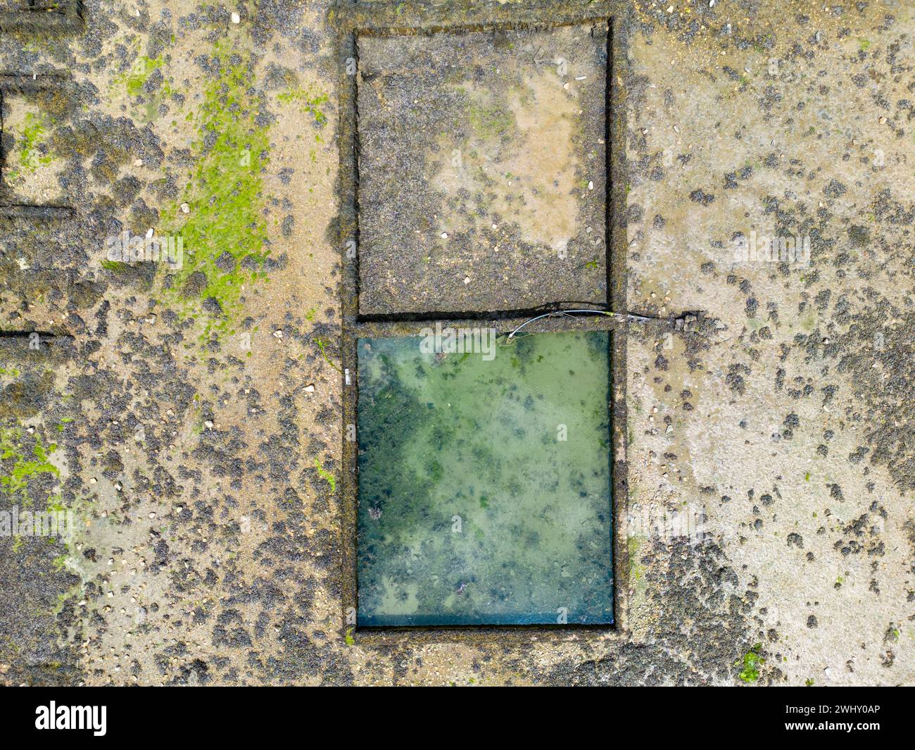 Oystréiculture dans la baie de Morlaix, Bretagne Banque D'Images