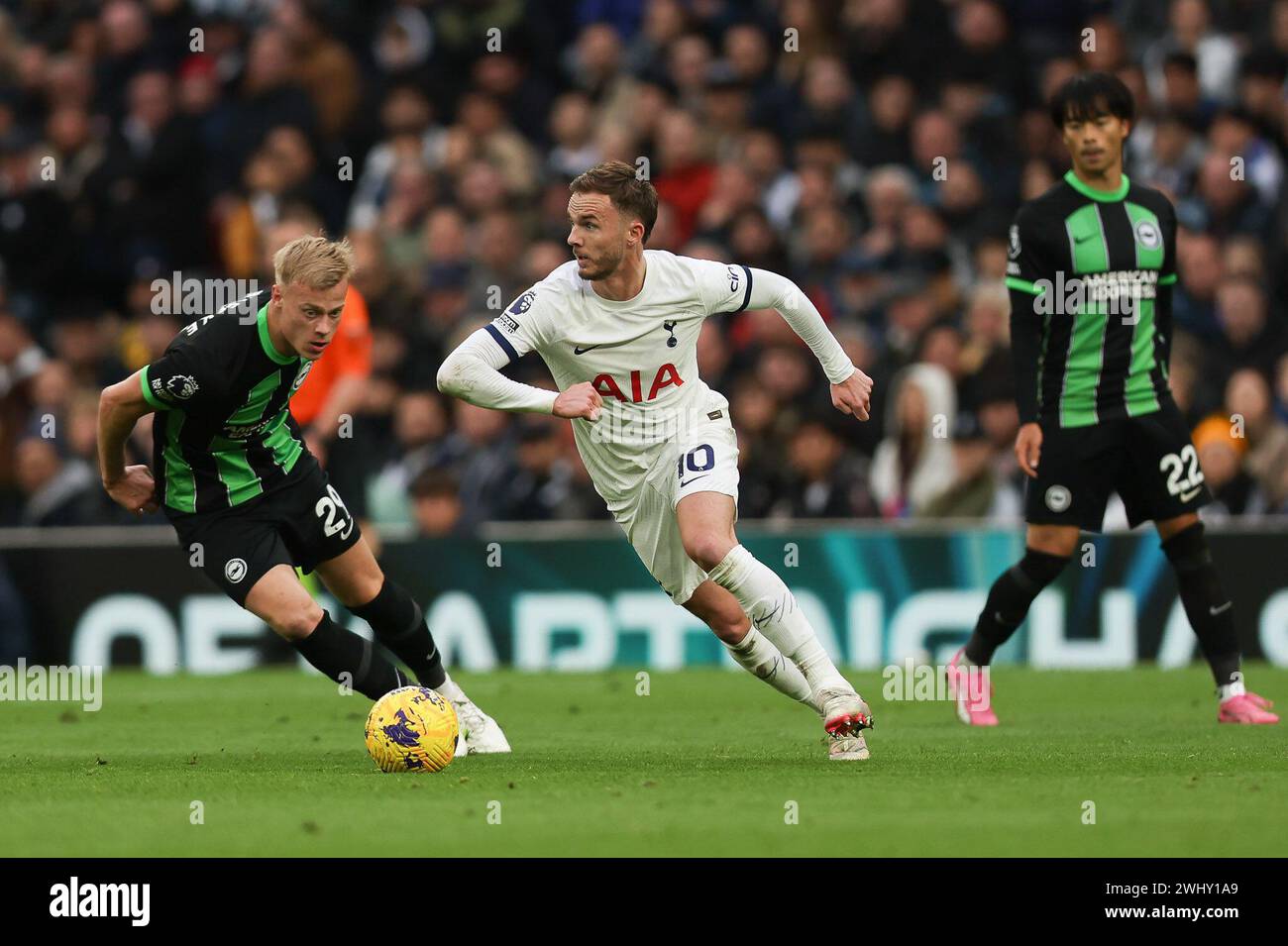Londres, Royaume-Uni. 11 février 2024. James Maddison de Tottenham Hotspur est confronté à Jan Paul van Hecke de Brighton & Hove Albion lors du match de premier League entre Tottenham Hotspur et Brighton et Hove Albion au Tottenham Hotspur Stadium, Londres, Angleterre, le 10 février 2024. Photo de Ken Sparks. Utilisation éditoriale uniquement, licence requise pour une utilisation commerciale. Aucune utilisation dans les Paris, les jeux ou les publications d'un club/ligue/joueur. Crédit : UK Sports pics Ltd/Alamy Live News Banque D'Images