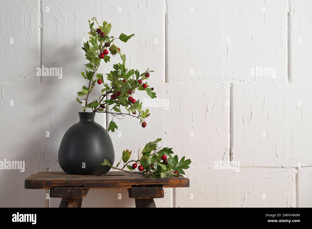 Branches d'aubépine avec des fruits rouges dans un vase noir sur un tabouret en bois rustique contre un mur blanc rugueux, automne et hiver maison de Banque D'Images