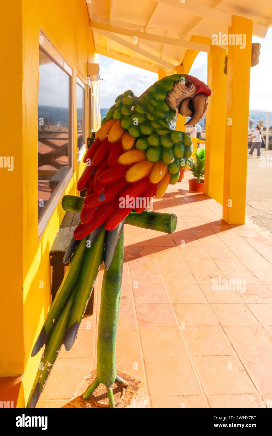 Perroquet modèle devant la boutique de cadeaux à Natural Bridge Aruba, Santa Cruz, Aruba, ABC Islands, Leeward Antilles, Caraïbes Banque D'Images