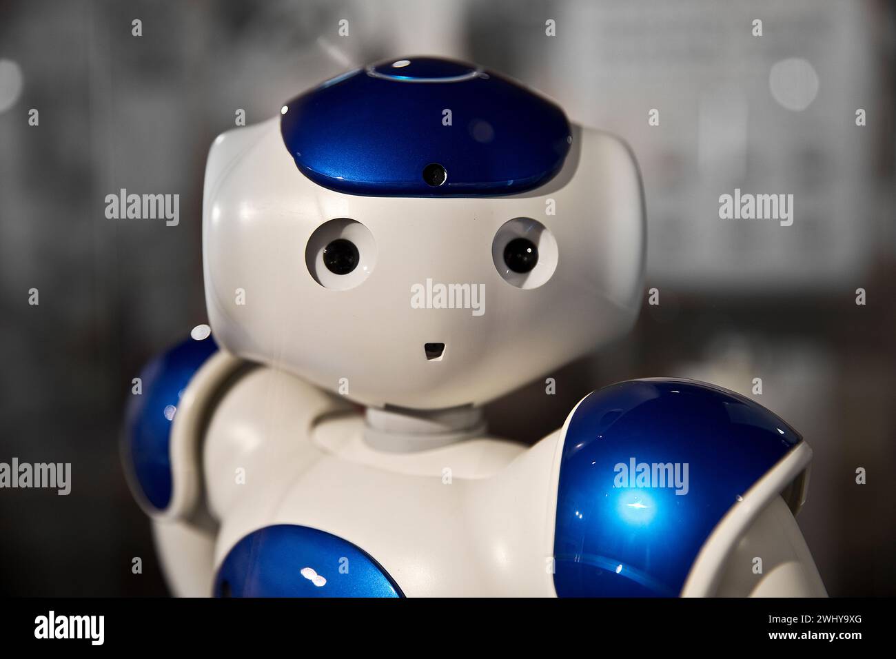 Chef du robot humanoïde NAO, qui est destiné à aider les enfants à apprendre une deuxième langue, Allemagne Banque D'Images