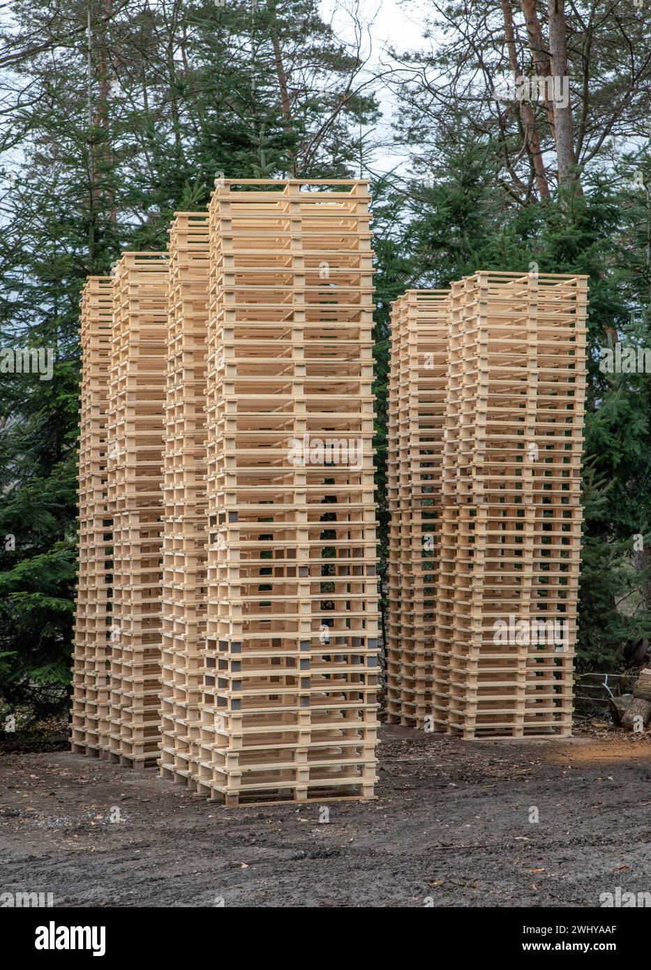 Pile de palettes en bois dans l'atelier de menuiserie. Palettes en bois prêtes à être distribuées. Banque D'Images