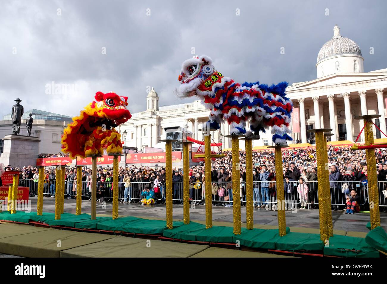 Londres, Royaume-Uni, 11 février 2024. De bonnes danses du lion ont été exécutées à Trafalgar Square pour les célébrations du nouvel an chinois, qui ont commencé par un défilé dans le West End. Crédit : onzième heure photographie/Alamy Live News Banque D'Images