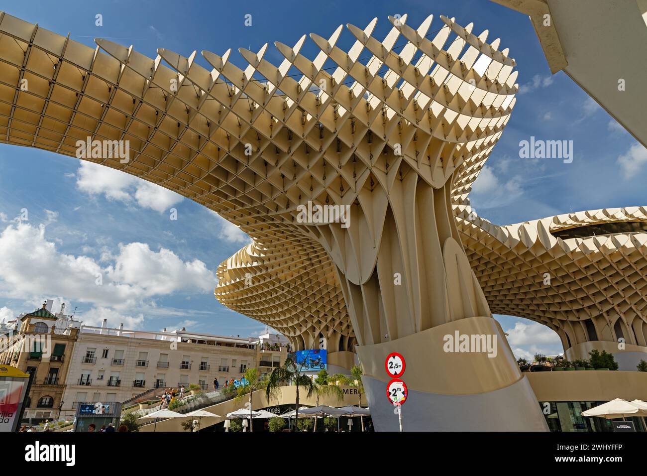 Champignons de Séville ou dans le bâtiment espagnol Setas de Sevilla à Séville Banque D'Images