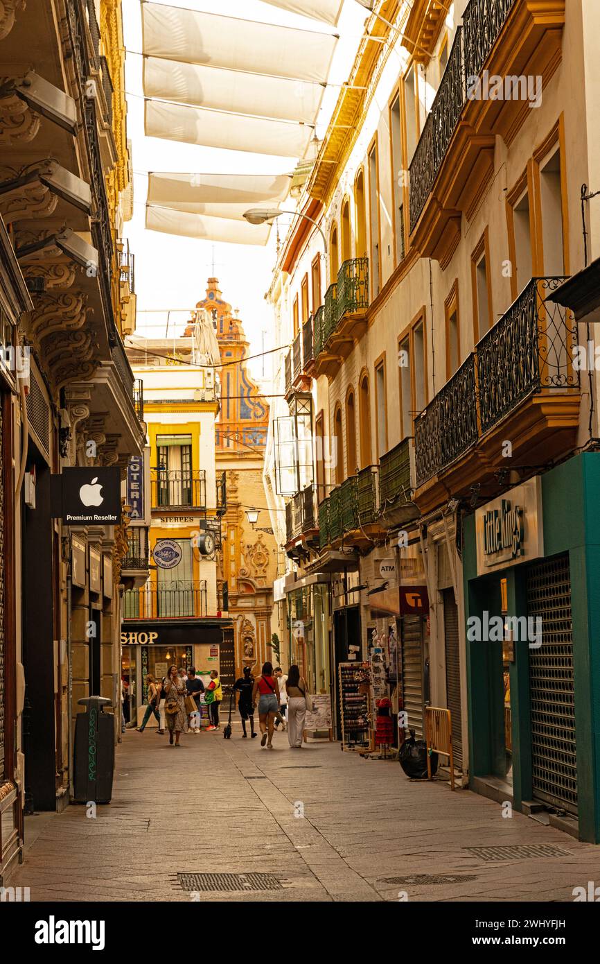 Belle petite rue dans la vieille ville de Séville Banque D'Images