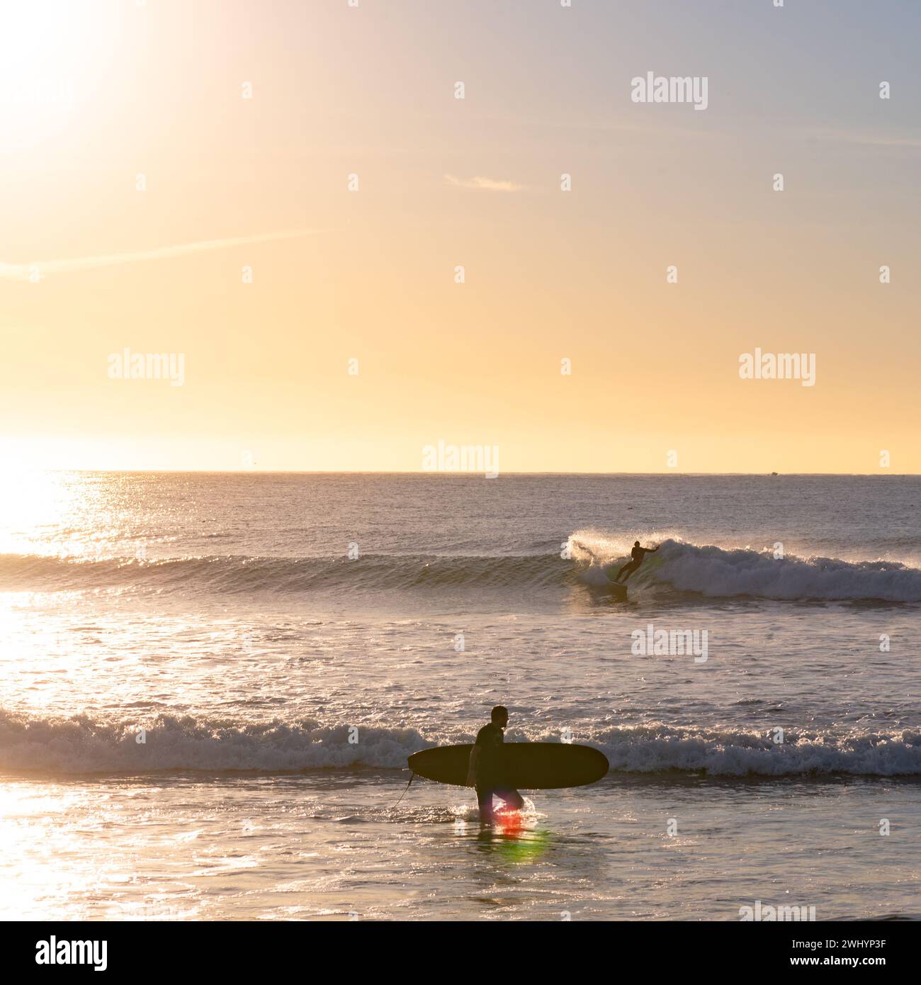 Personnes, surf, Campus point, UCSB, Early Morning Light, culture du surf en Californie, belles vagues, style de vie côtier Banque D'Images