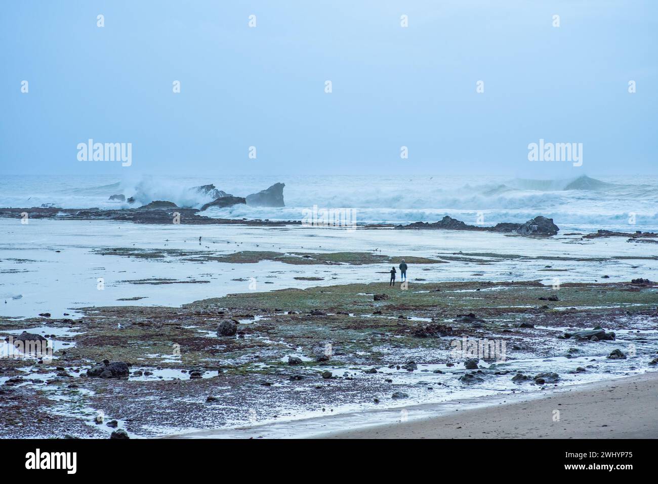 Mavericks, Big Wave Surfing, marée basse, Half Moon Bay, Port, côte, Californie, Surf Spot, Sports extrêmes, surf Banque D'Images