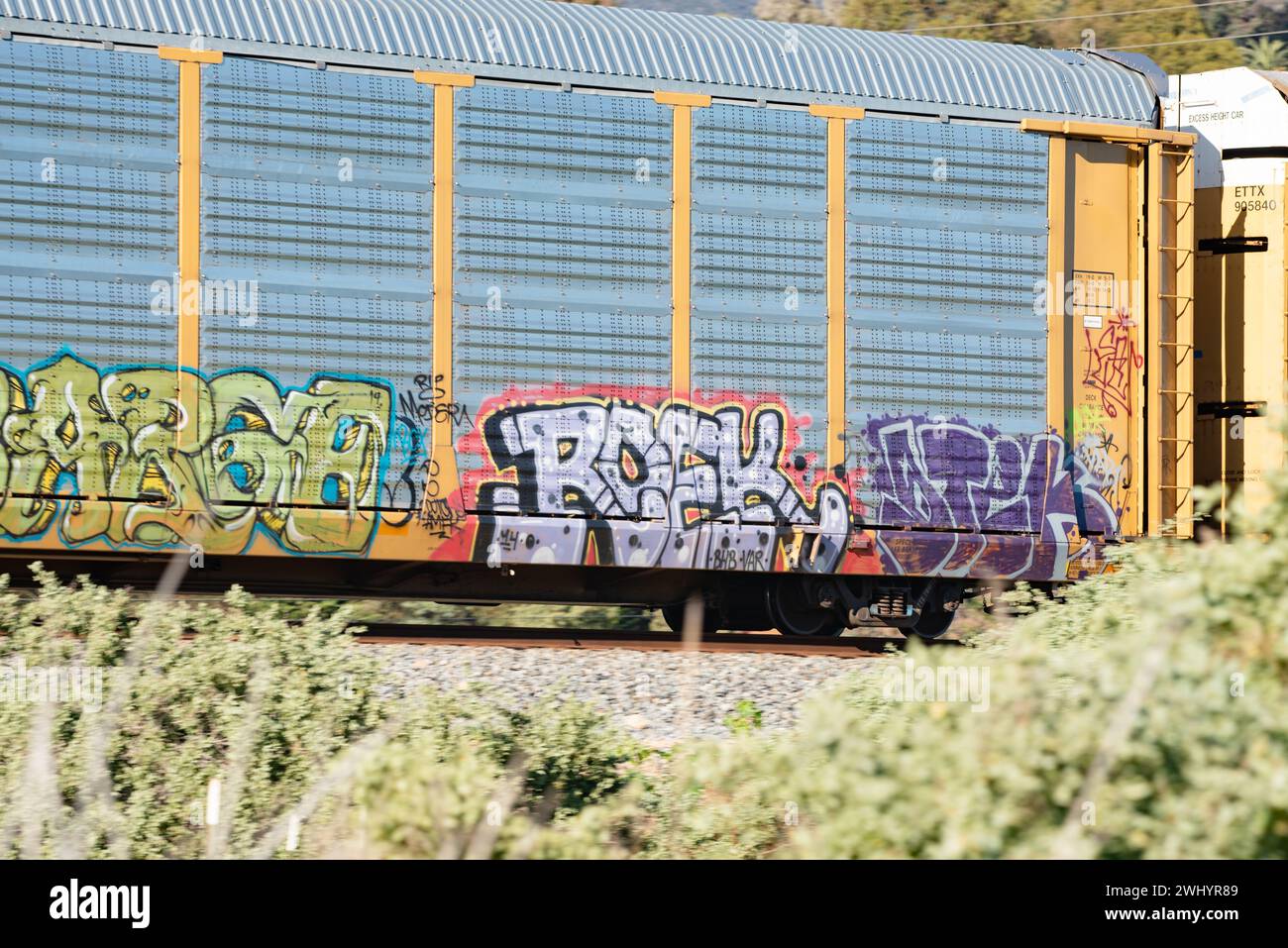 Graffiti, train de fret, Santa Barbara, Art urbain, Street Art, coloré, voitures de train, chemin de fer, Art graffiti, paysage urbain, art public Banque D'Images