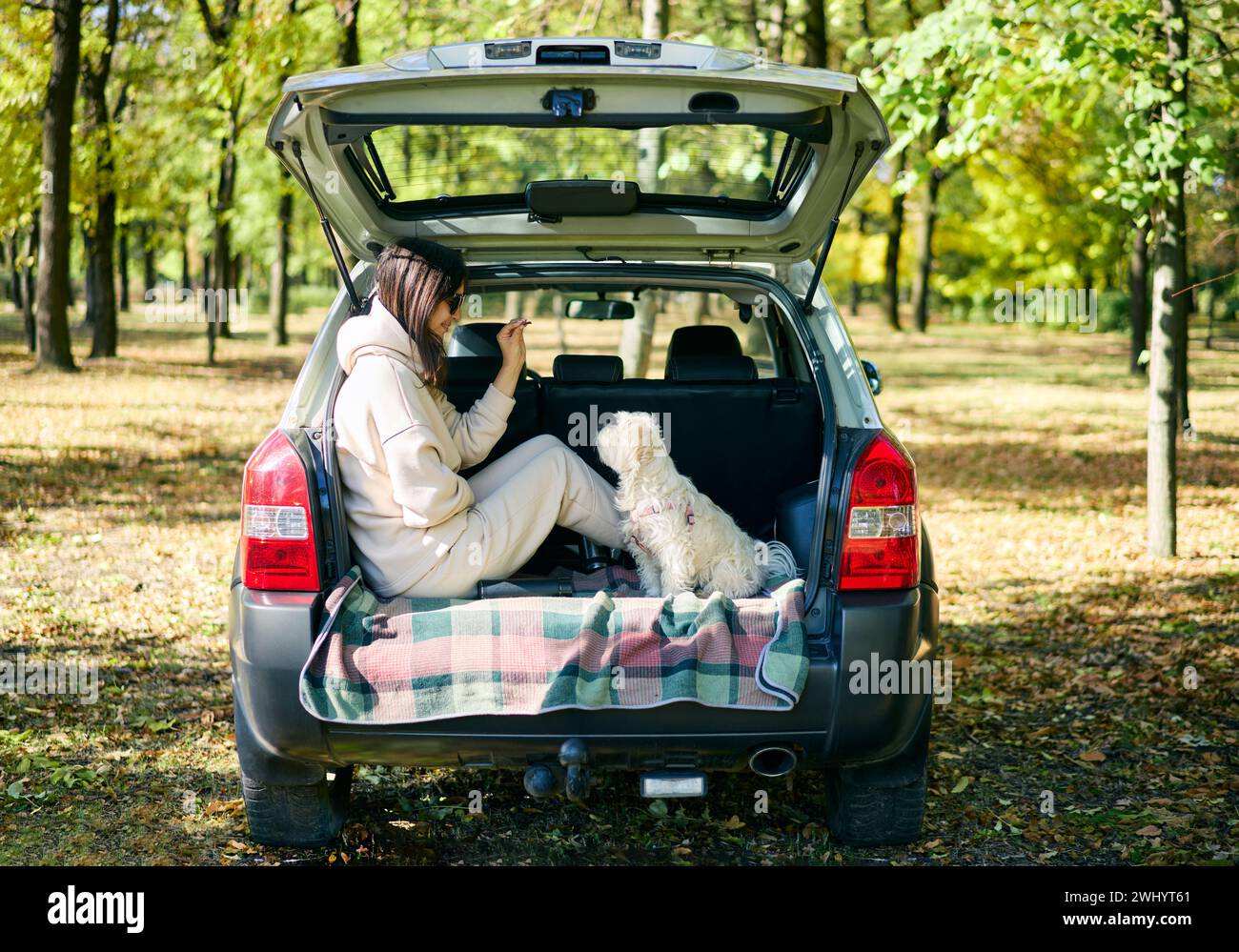 Jeune femme est assise dans le coffre de voiture ouvert dans une forêt, offrant un régal à son chien mignon. Banque D'Images