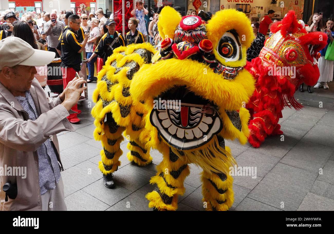 Sydney, Australie. 10 février 2024. Des artistes exécutent une danse du lion pour célébrer le nouvel an lunaire chinois dans Chinatown de Sydney, Australie, le 10 février 2024. POUR ALLER DE L'avant AVEC « Feature : adoptez les coutumes du nouvel an chinois et les traditions au Sydney Lunar Festival » crédit : Wang Qi/Xinhua/Alamy Live News Banque D'Images