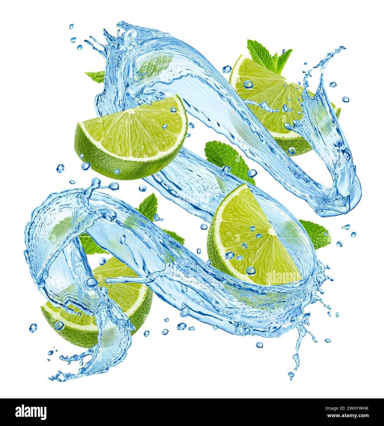 Citron vert et menthe avec des éclaboussures d'eau isolé sur fond blanc Banque D'Images