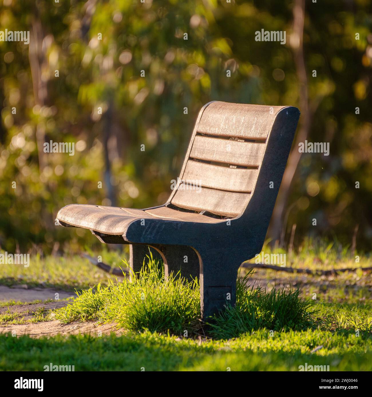 Solitaire, bancs de parc, solitude, vieillissement, lac Los Carneros, Goleta, Santa Barbara Banque D'Images