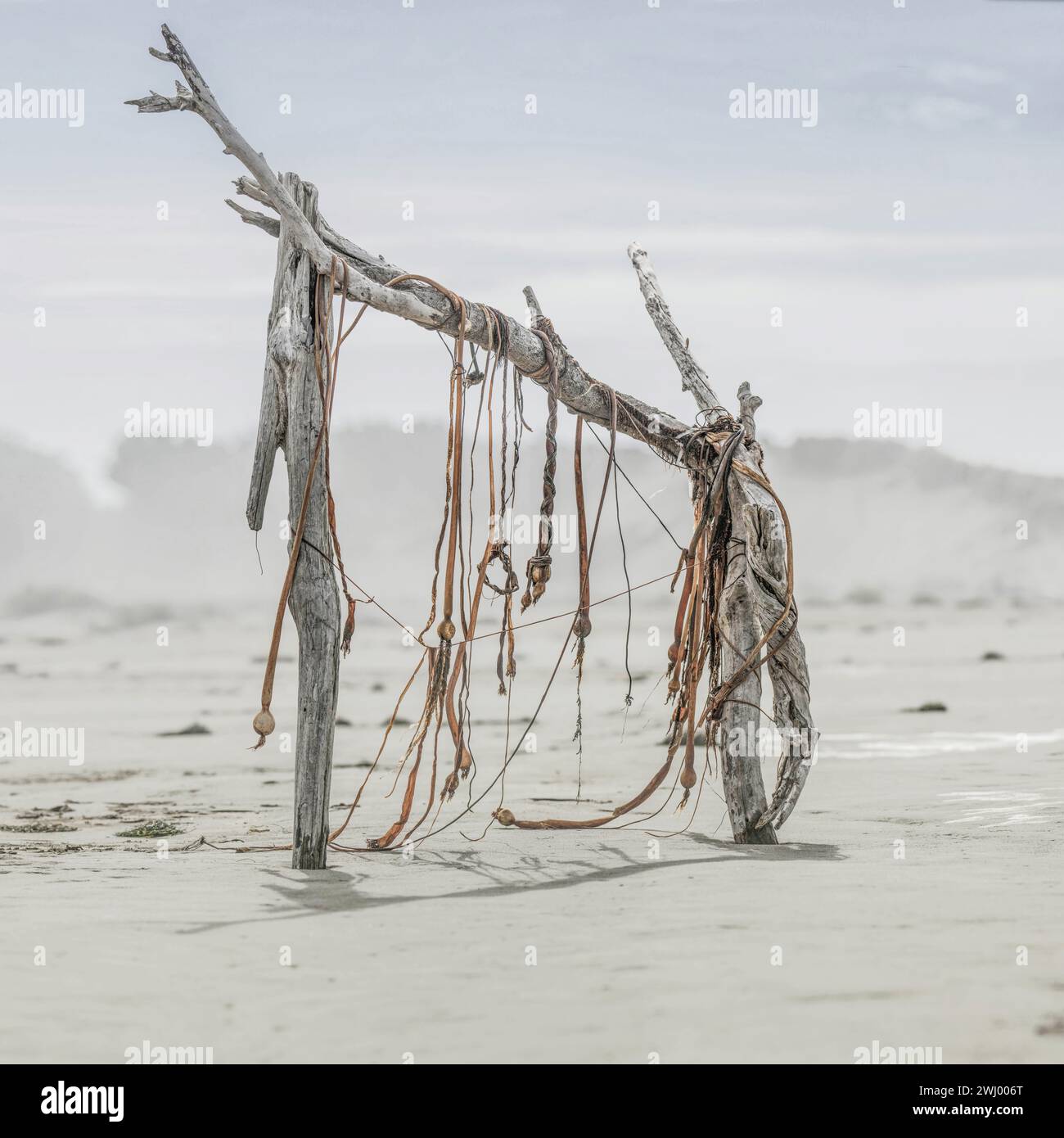 Orné, sculpture, bois flotté, matériaux trouvés, plage de Salmon Creek, comté de Sonoma, Californie, Art côtier, créatif, artistique, fabriqué à la main Banque D'Images