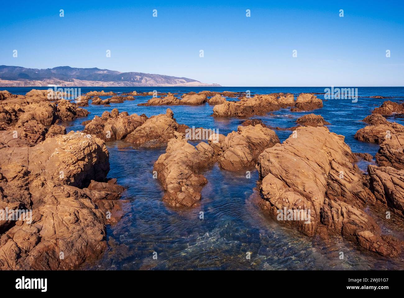 La côte sud de la ville de Wellington en Nouvelle-Zélande avec vue sur le détroit de Cook par un jour d'automne paisible. Banque D'Images