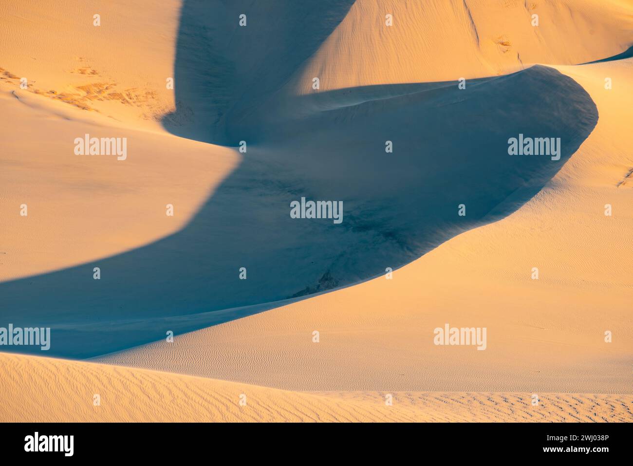 Dumont Sand Dunes, comté d'Inyo Californie, parc national de la Vallée de la mort, dunes de sable, coucher de soleil, contours des dunes de sable Banque D'Images