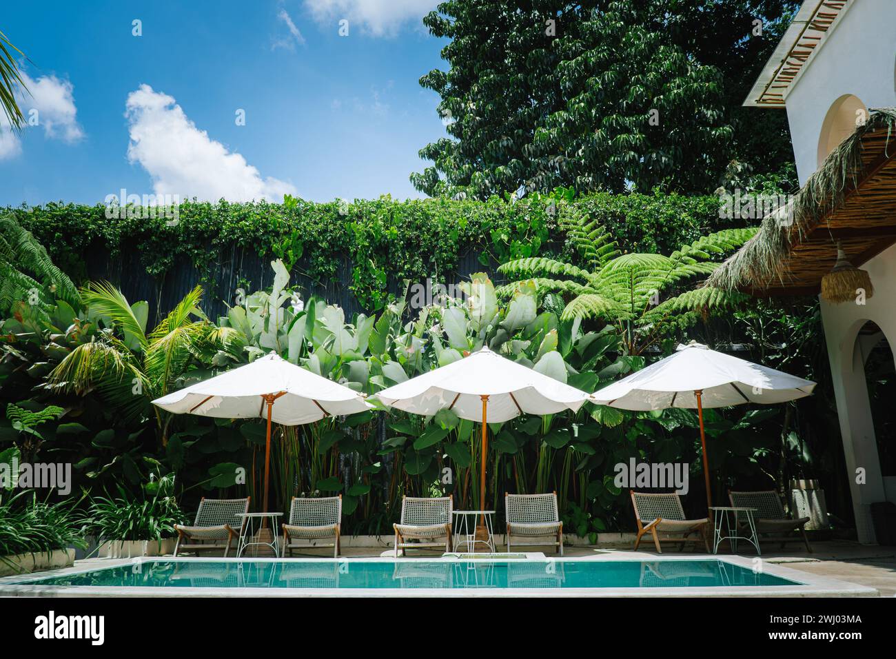 Une vue panoramique sur une piscine extérieure tropicale luxueuse entourée d'une végétation luxuriante et d'un ciel bleu clair avec trois parasols blancs avec des poteaux en bois Banque D'Images