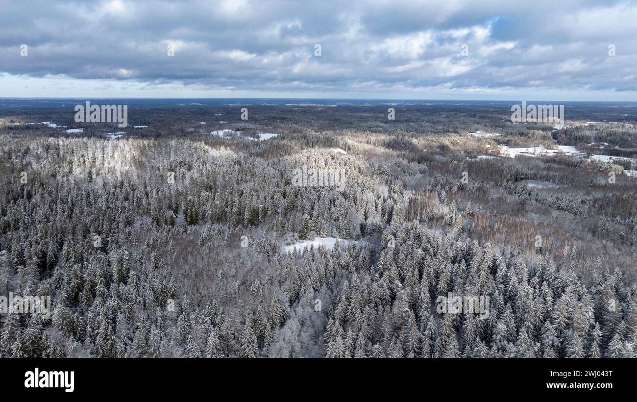 Une vue aérienne des sommets enneigés sauvages d'hiver et du paysage en mosaïque des hautes terres de Haanja, comté de Voru, Estonie Banque D'Images