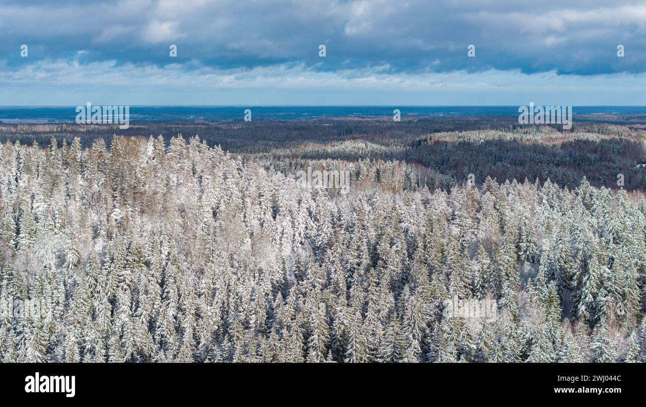 Une vue aérienne de la colline enneigée de Vallamagi avec la forêt de conifères et les hautes terres ensoleillées de Haanja dans le comté de Voru, Estonie Banque D'Images