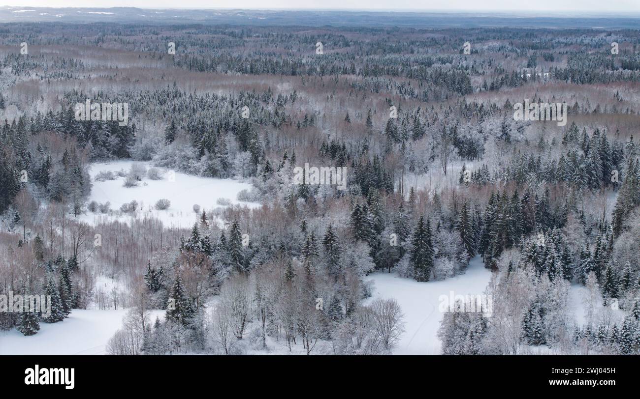 Une vue aérienne des sommets enneigés sauvages d'hiver et du paysage en mosaïque des hautes terres de Haanja, comté de Voru, Estonie Banque D'Images
