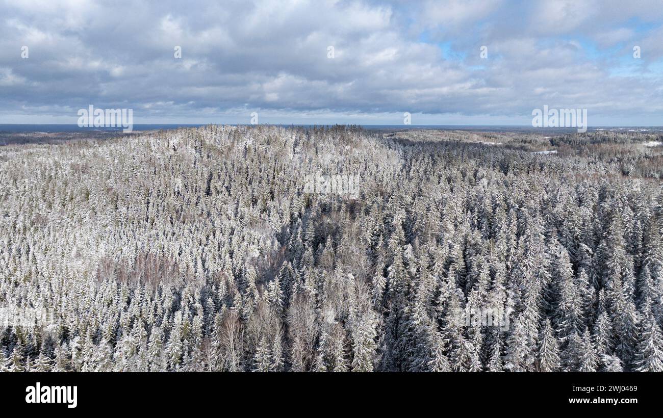 Une vue aérienne de la colline enneigée de Vallamagi avec la forêt de conifères et les hautes terres ensoleillées de Haanja dans le comté de Voru, Estonie Banque D'Images