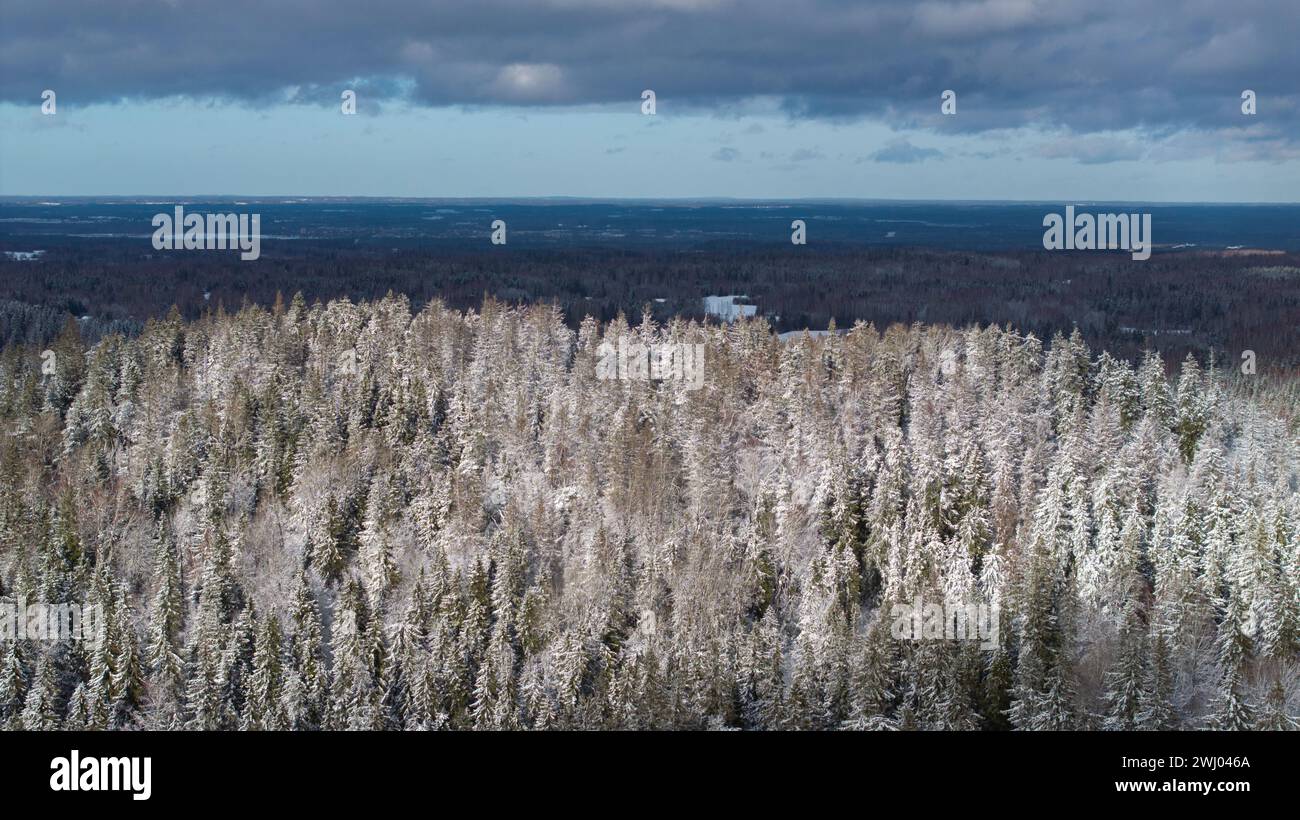 Une vue aérienne de la colline enneigée de Vallamagi avec la forêt de conifères et les hautes terres ensoleillées de Haanja dans le comté de Voru, Estonie Banque D'Images