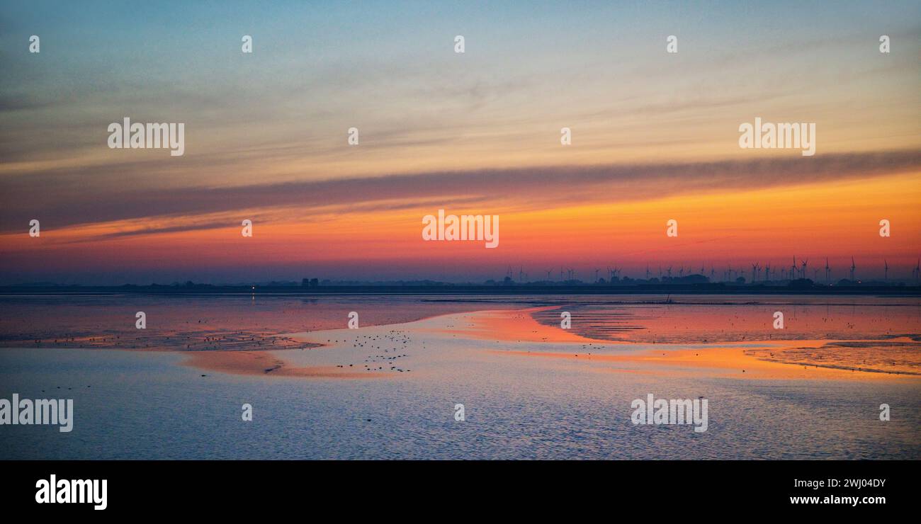 Barrage matinal sur la mer du Nord avec vasières, Frise orientale, basse-Saxe, Allemagne, Europe Banque D'Images