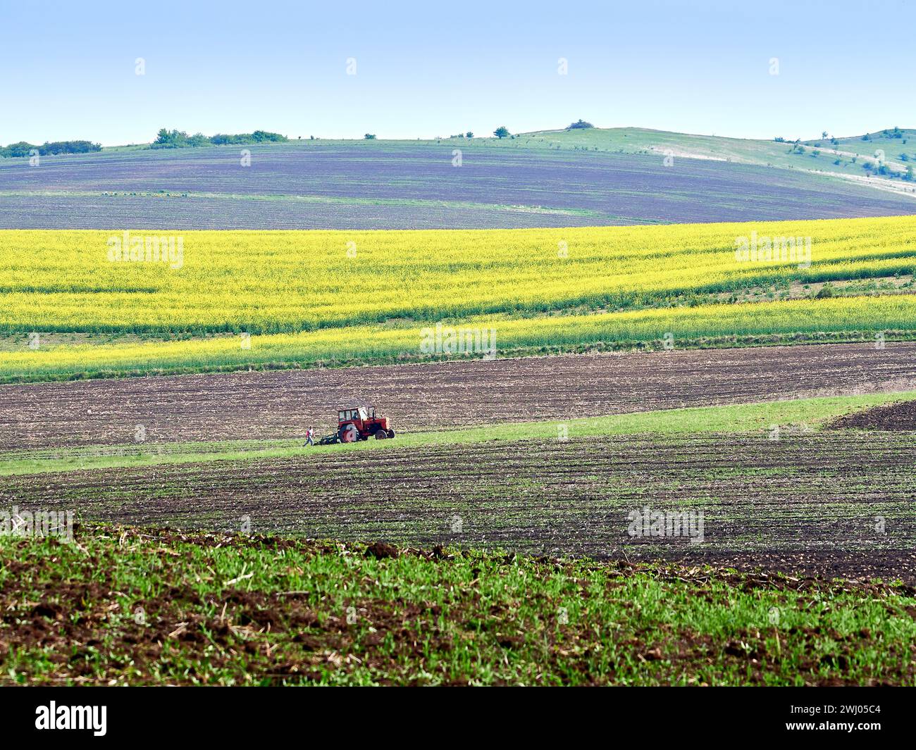 Tracteur cultivant le champ au printemps. Paysage pittoresque roumain. Agriculture à la ferme, campagne au printemps. Banque D'Images