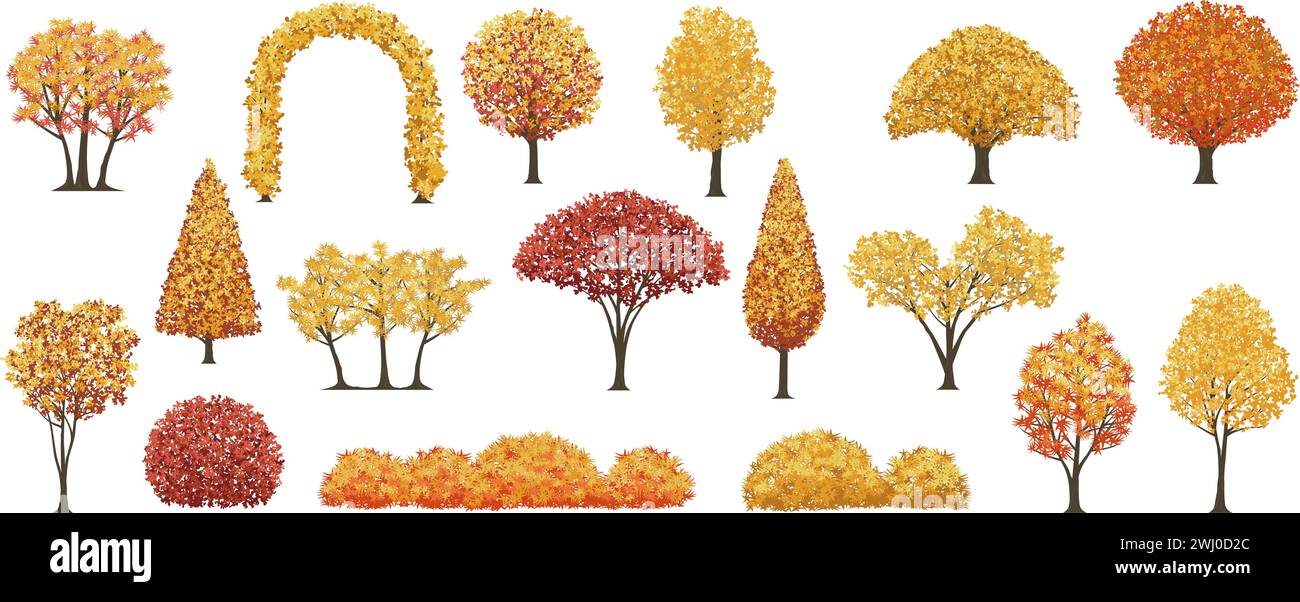 Arbres et arbustes illustration vectorielle ensemble isolé sur Un fond blanc. Illustration de Vecteur